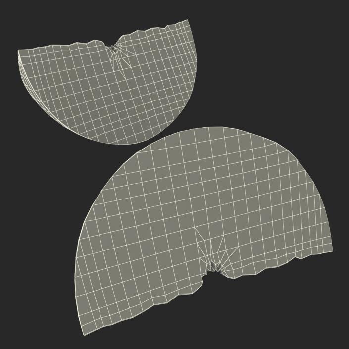 3D Grapefruit Slice 3 model