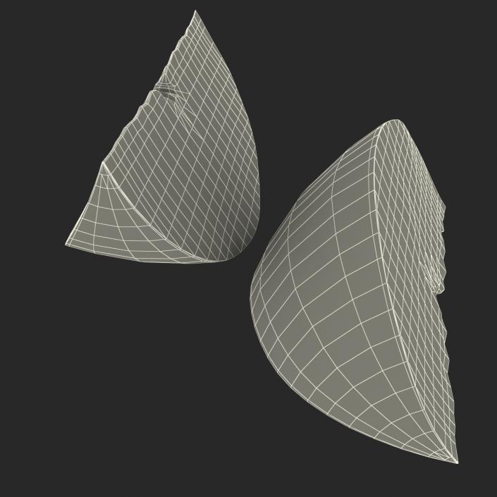 3D Grapefruit Slice 3 model