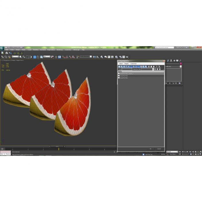 3D model Grapefruit Slice 3D Models Set
