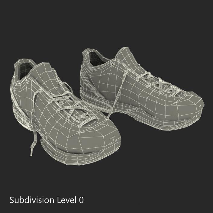 Sneakers Nike Zoom Black 3D model