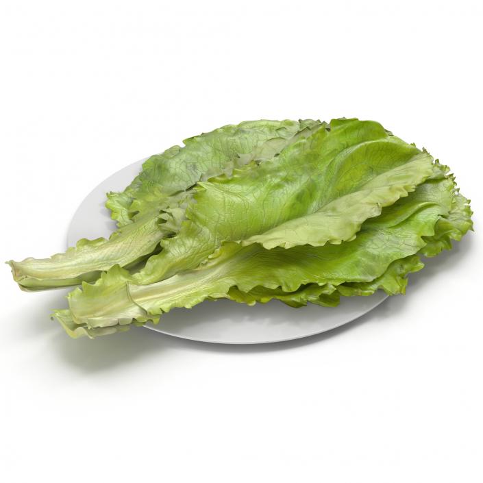 Lettuce Leaf Pile 3D