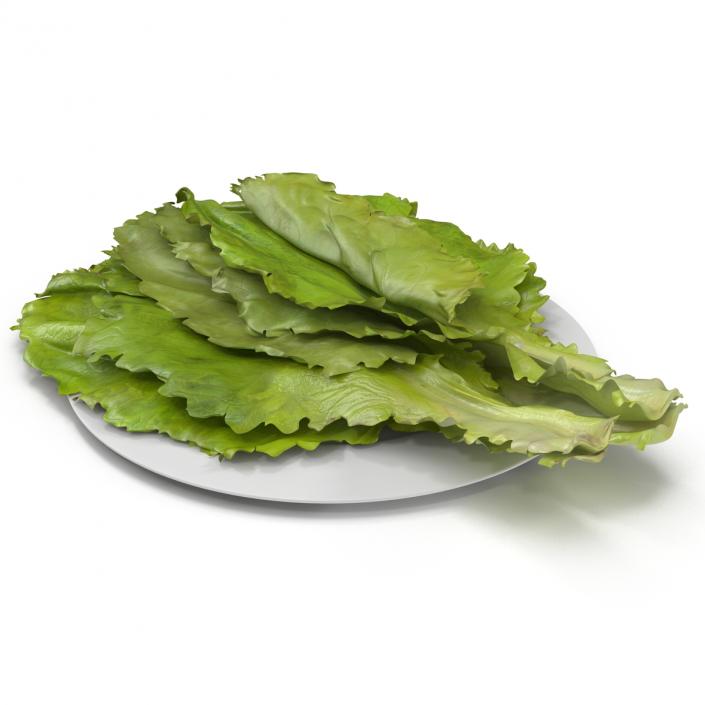 Lettuce Leaf Pile 3D