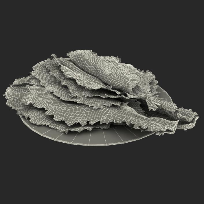 Lettuce Leaf Pile 3D