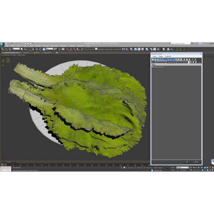 Lettuce Leaf Pile 3D