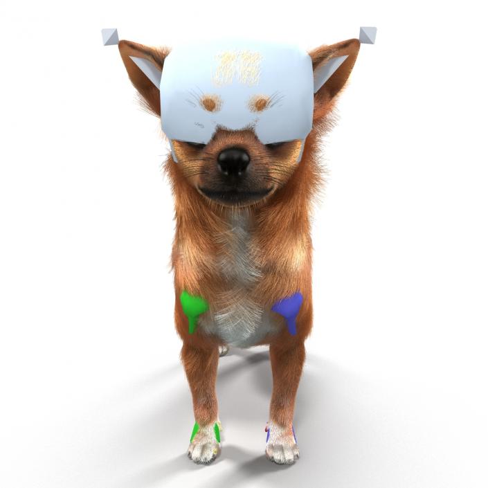 3D Chihuahua Rigged