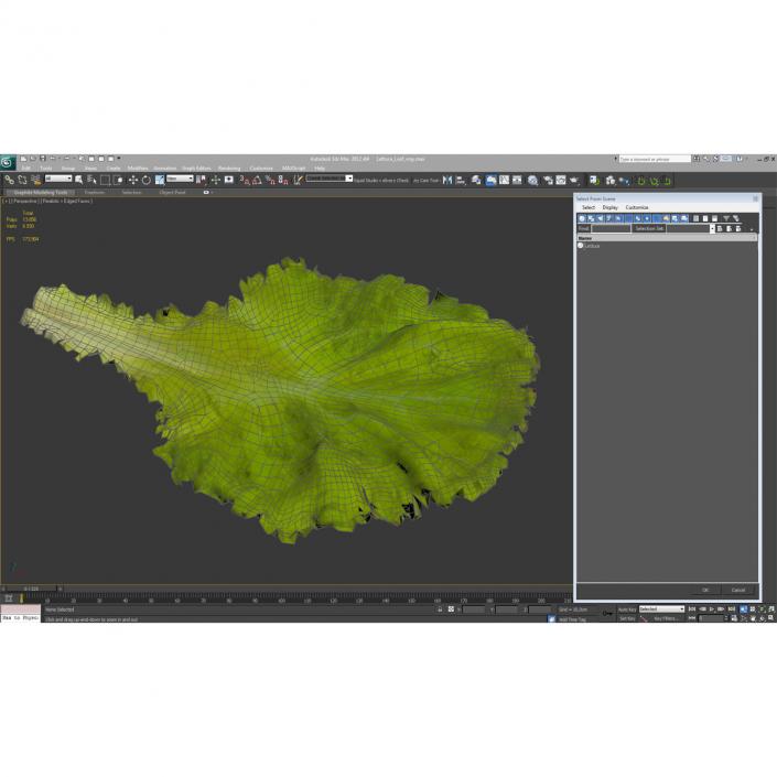 Lettuce Leaf 3D