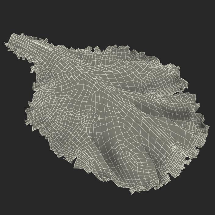 Lettuce Leaf 3D