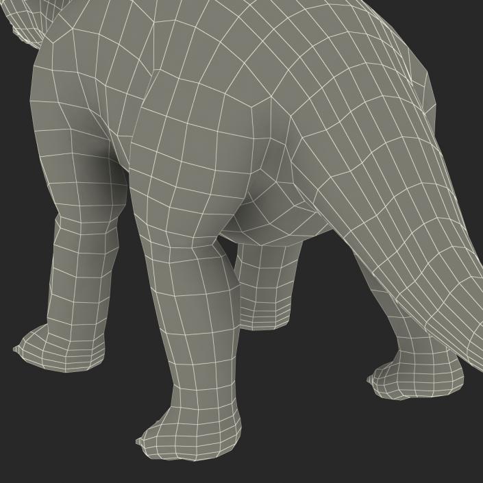 Dinosaur Toy Triceratops 3D model