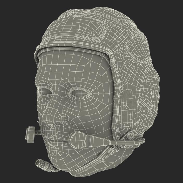 3D model Pilot Head