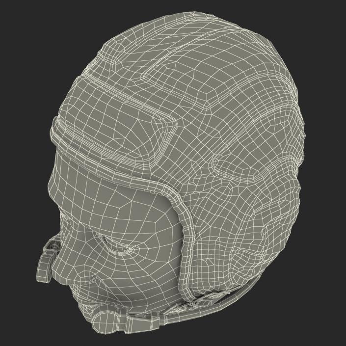 3D model Pilot Head