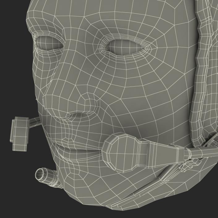 3D model Pilot Head