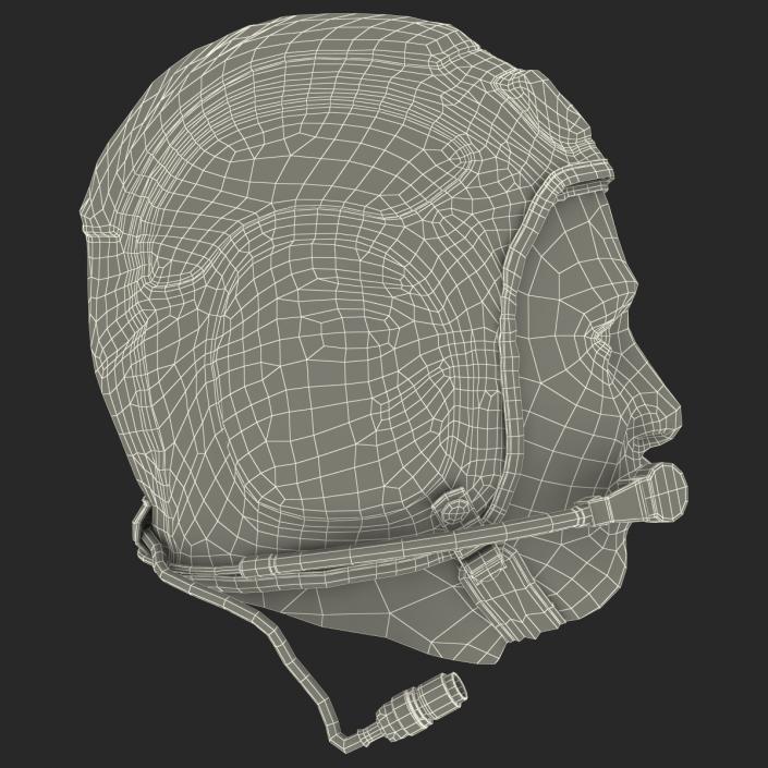 3D model Pilot Head