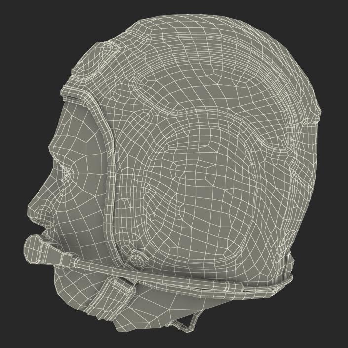 3D model Pilot Head