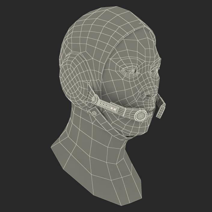 3D model Chinese Pilot Head Rigged