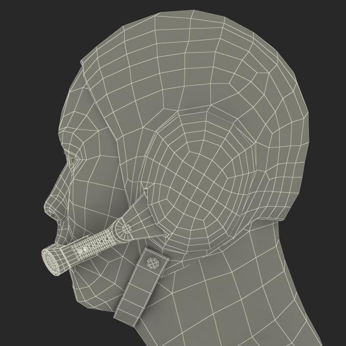 3D model Chinese Pilot Head Rigged