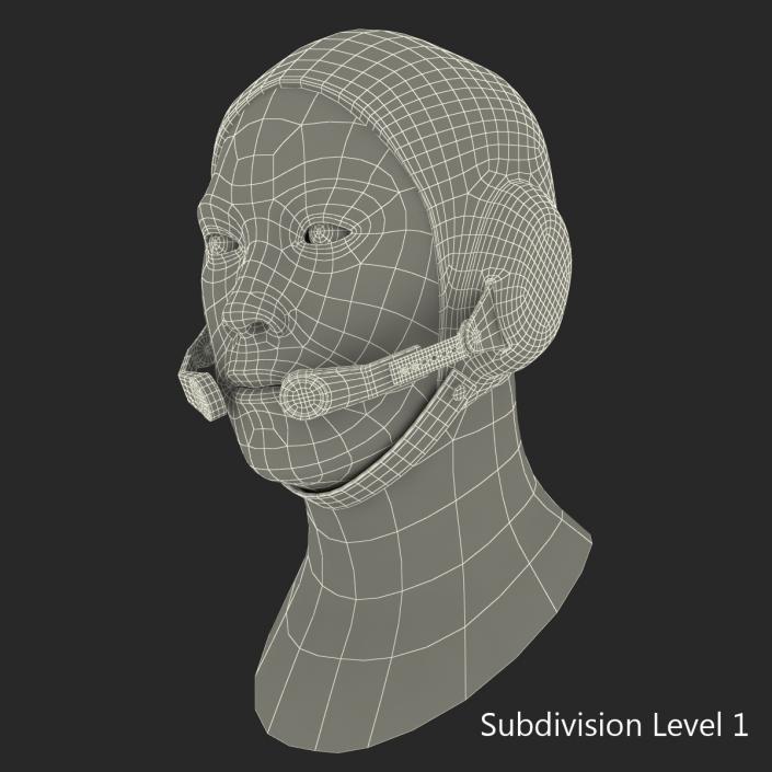 3D model Chinese Pilot Head Rigged