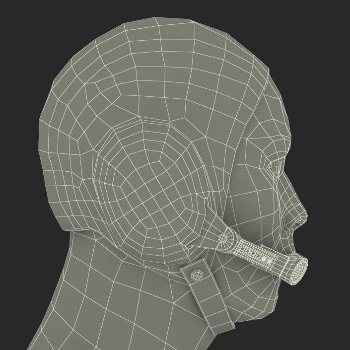 3D Chinese Pilot Head model