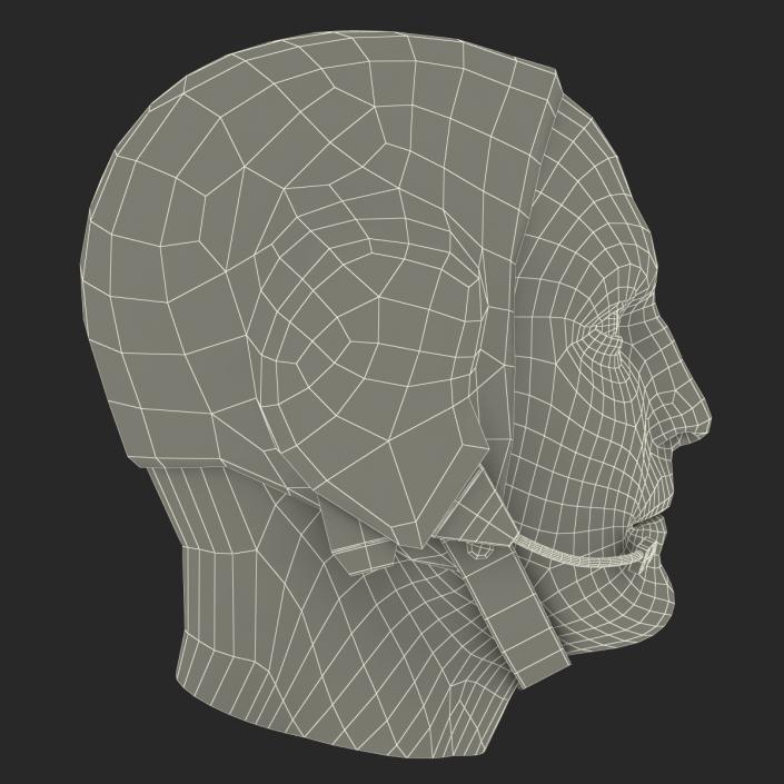 Astronaut Head 3D model