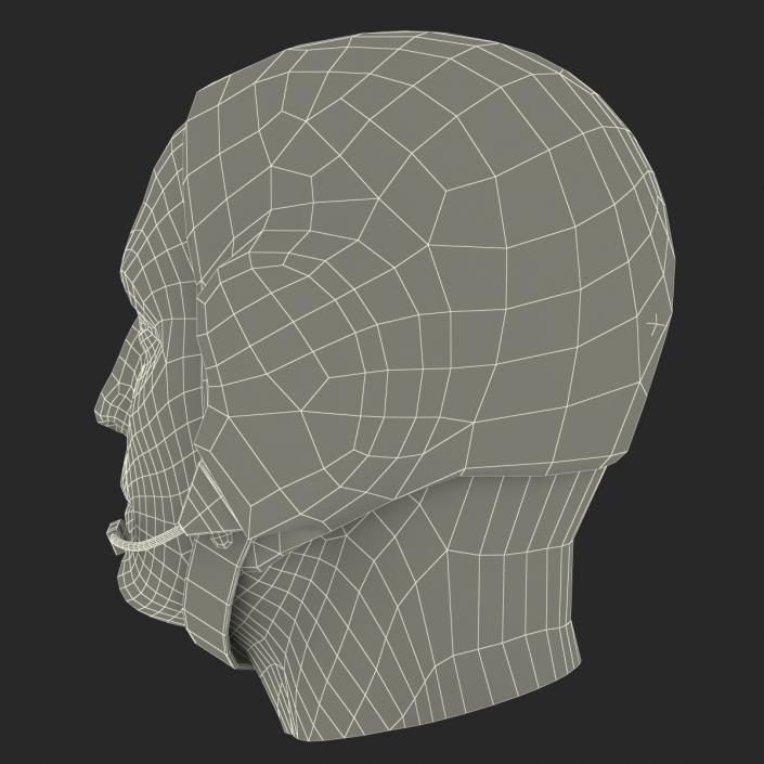 Astronaut Head 3D model