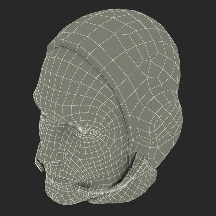 Astronaut Head 3D model