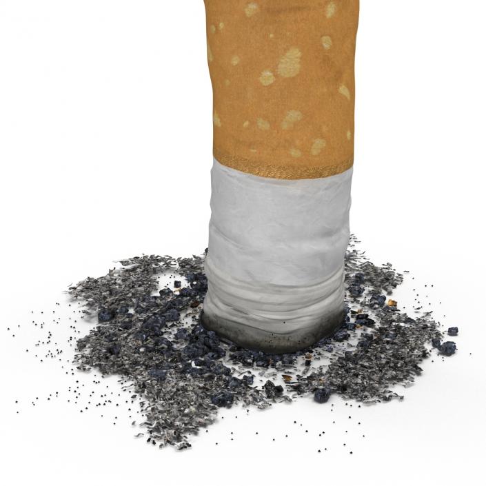 Snuffed Cigarette 3D