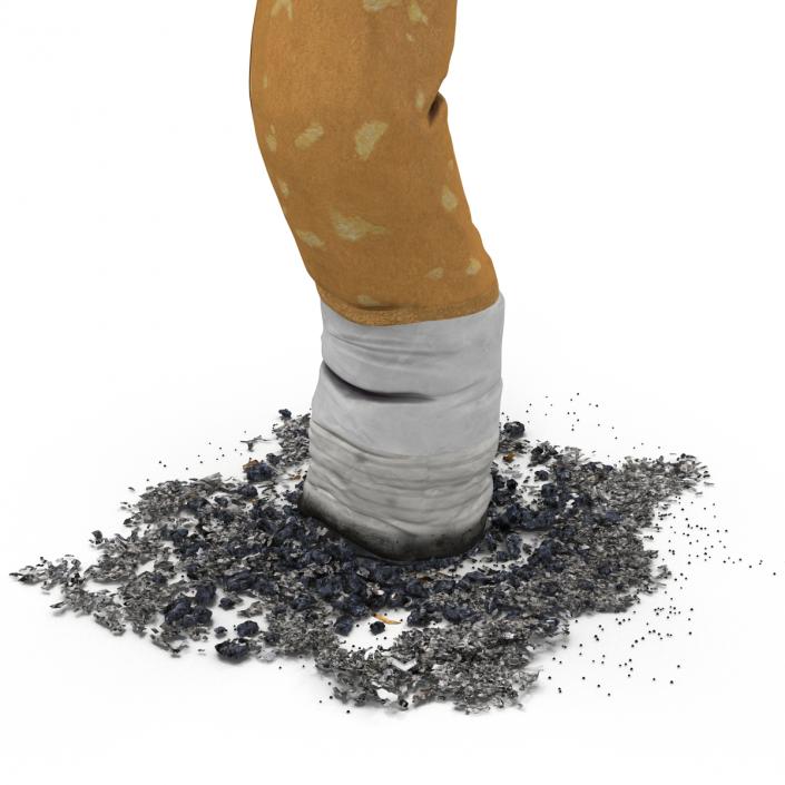 Snuffed Cigarette 3D