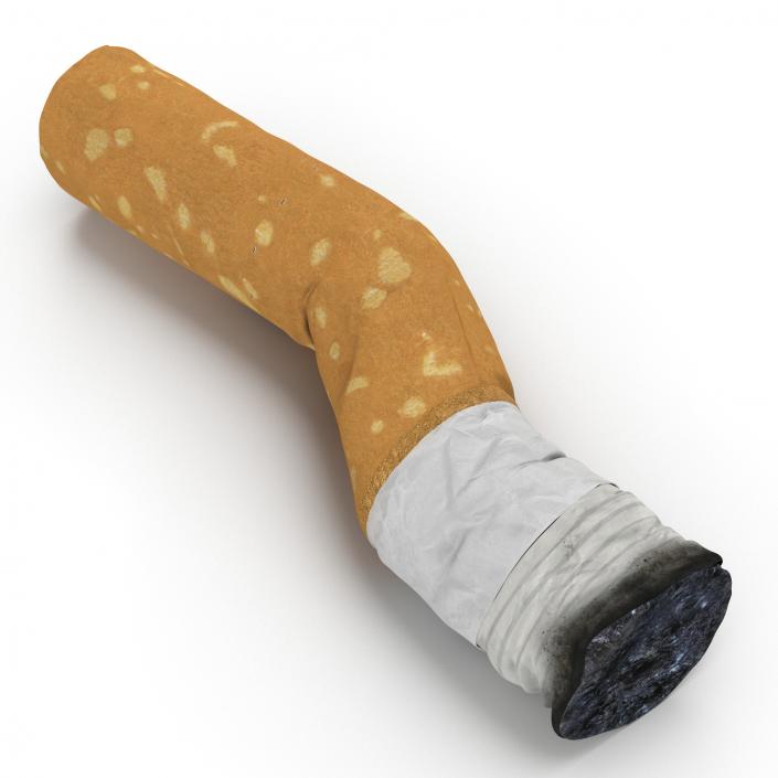 Snuffed Cigarette 2 3D model