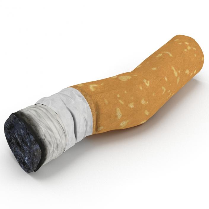 Snuffed Cigarette 2 3D model