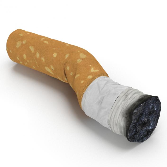 Snuffed Cigarette 2 3D model