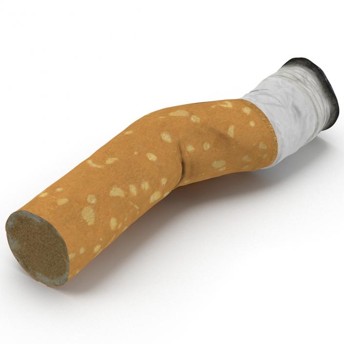 Snuffed Cigarette 2 3D model