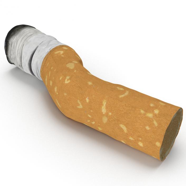 Snuffed Cigarette 2 3D model