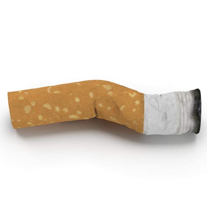 Snuffed Cigarette 2 3D model