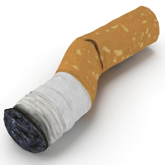 Snuffed Cigarette 2 3D model