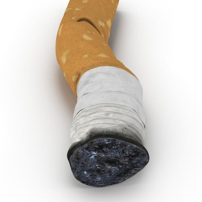 Snuffed Cigarette 2 3D model