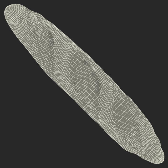 3D model Baguette