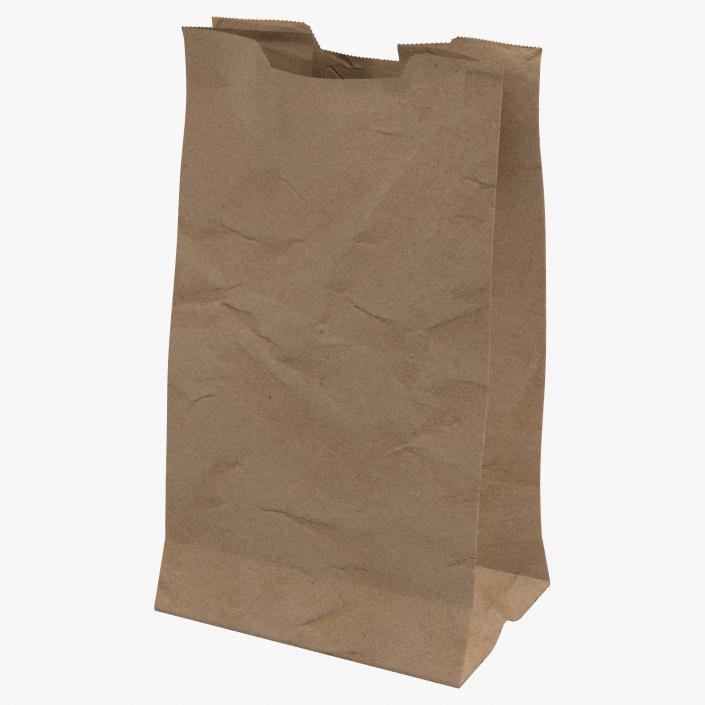 Paper Bag 3D model