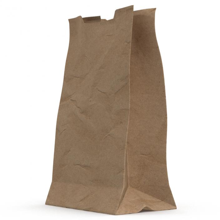 Paper Bag 3D model