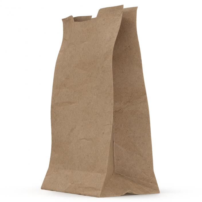 Paper Bag 3D model