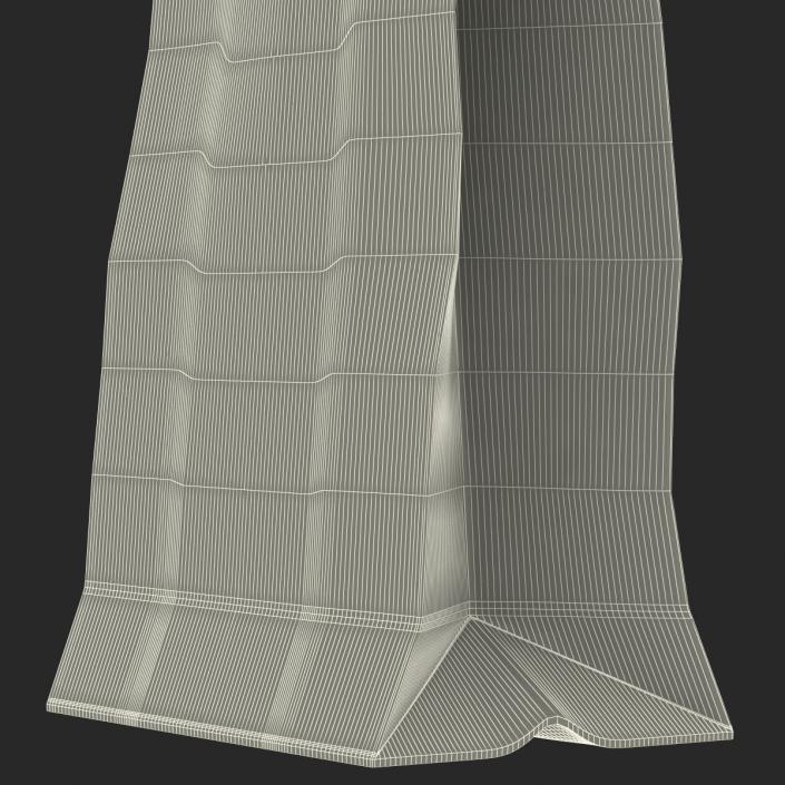 Paper Bag 3D model