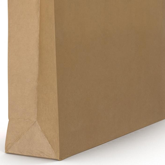 3D Paper Bag 4