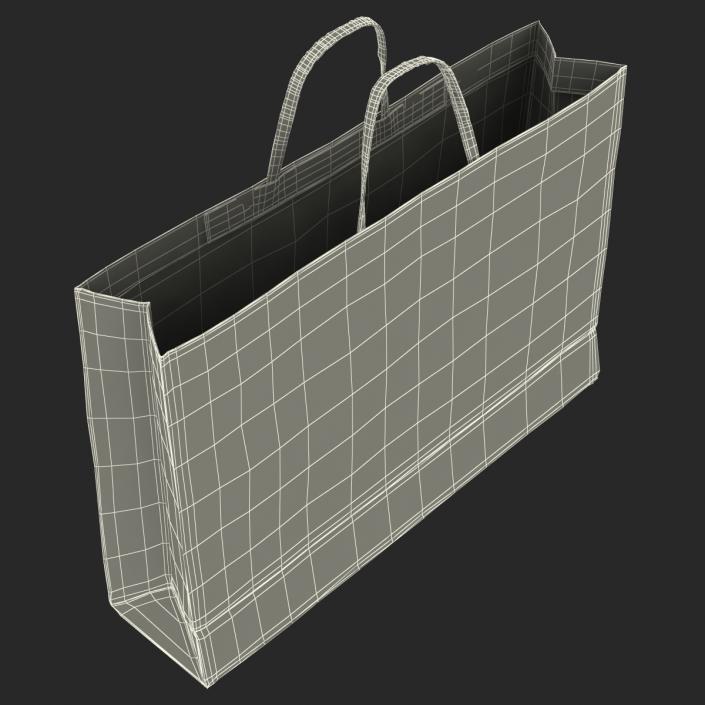 3D Paper Bag 4