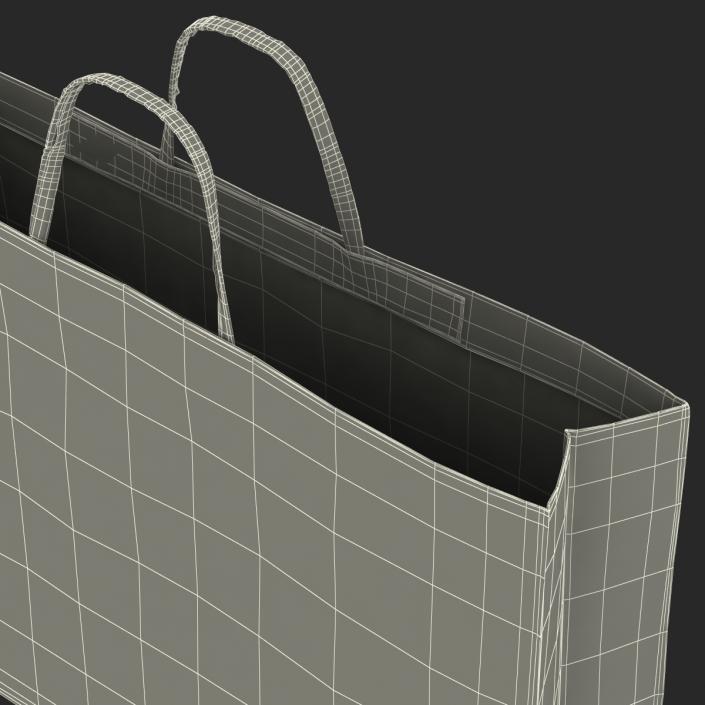 3D Paper Bag 4