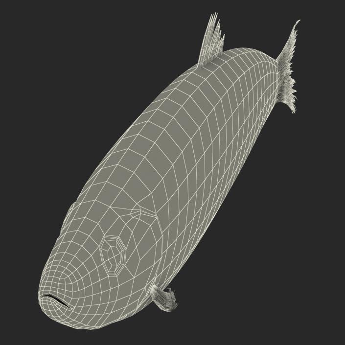 Herring Fish Rigged 3D model