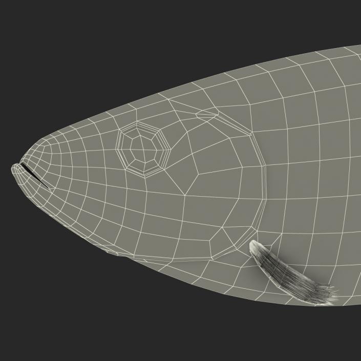 Herring Fish Rigged 3D model