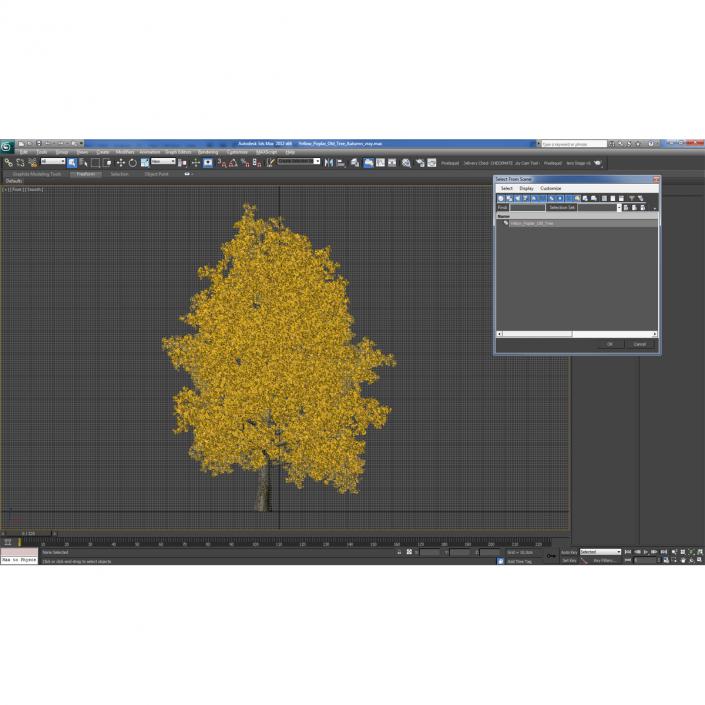 Yellow Poplar Old Tree Autumn 3D model