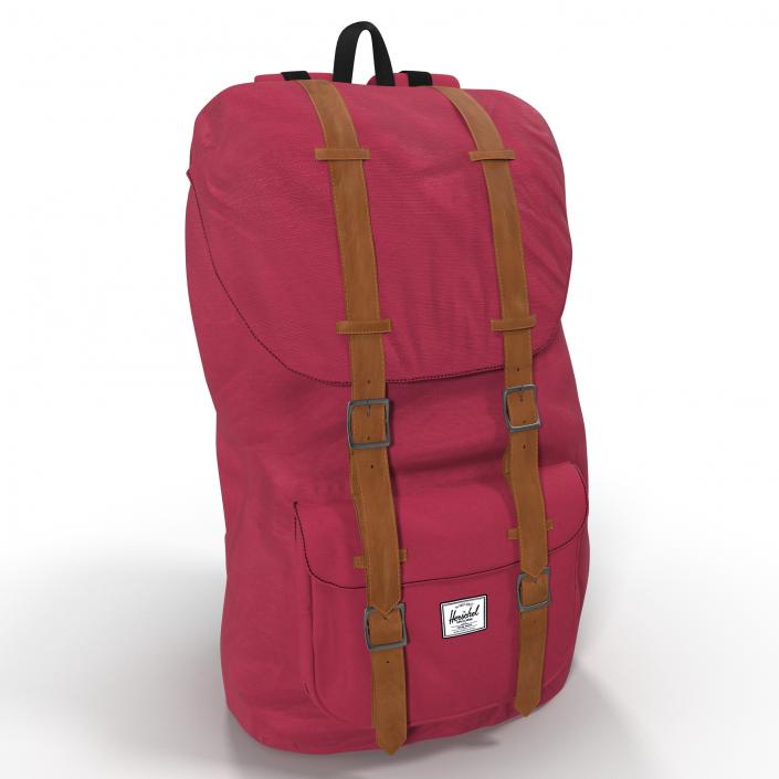 Backpack 8 Vinous 3D