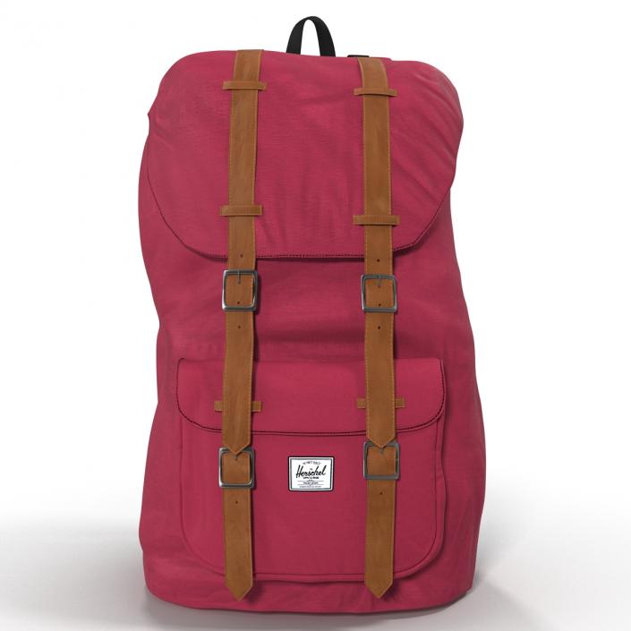 Backpack 8 Vinous 3D