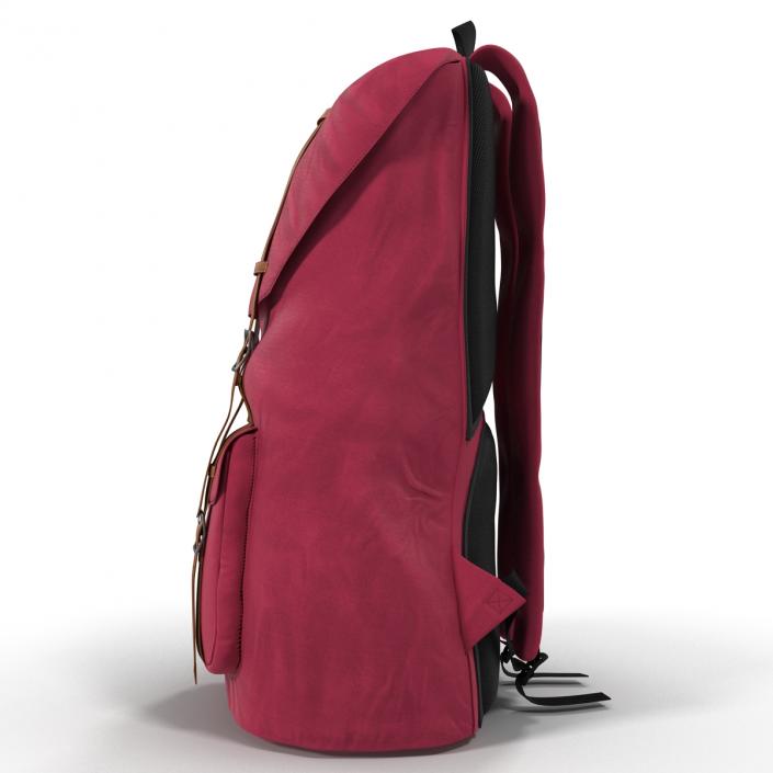 Backpack 8 Vinous 3D