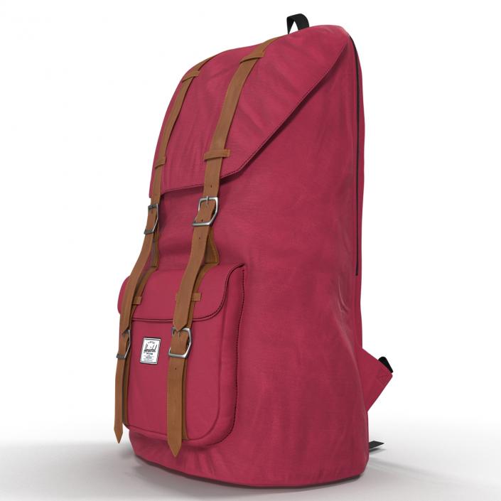 Backpack 8 Vinous 3D