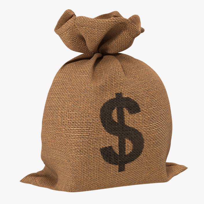 3D Money Bag 2 Dollar model